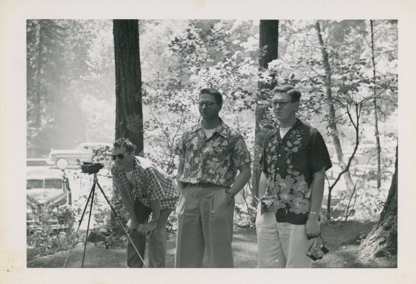 1951 Tate Picnic.jpg