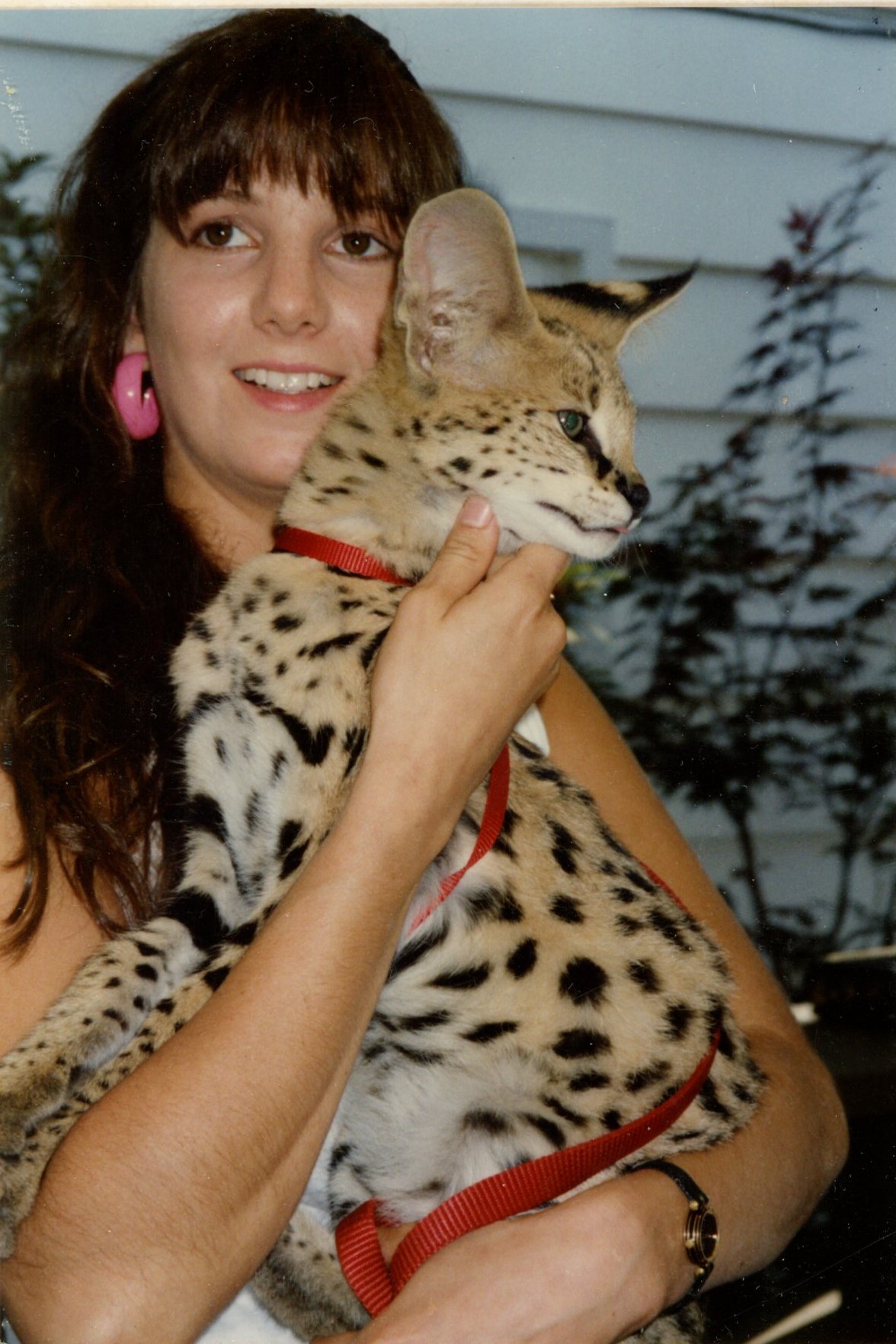 1989 Family Picnic2.jpg