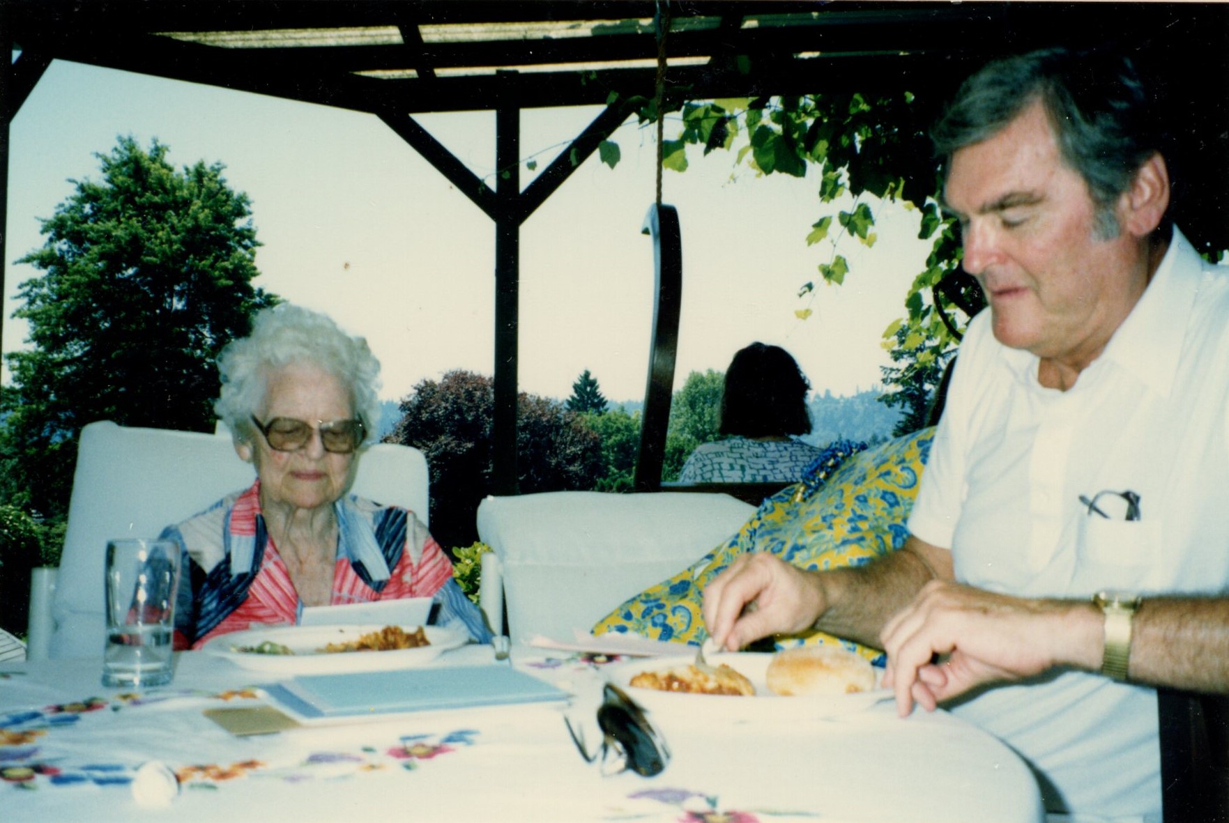 1990 Family Picnic2.jpg
