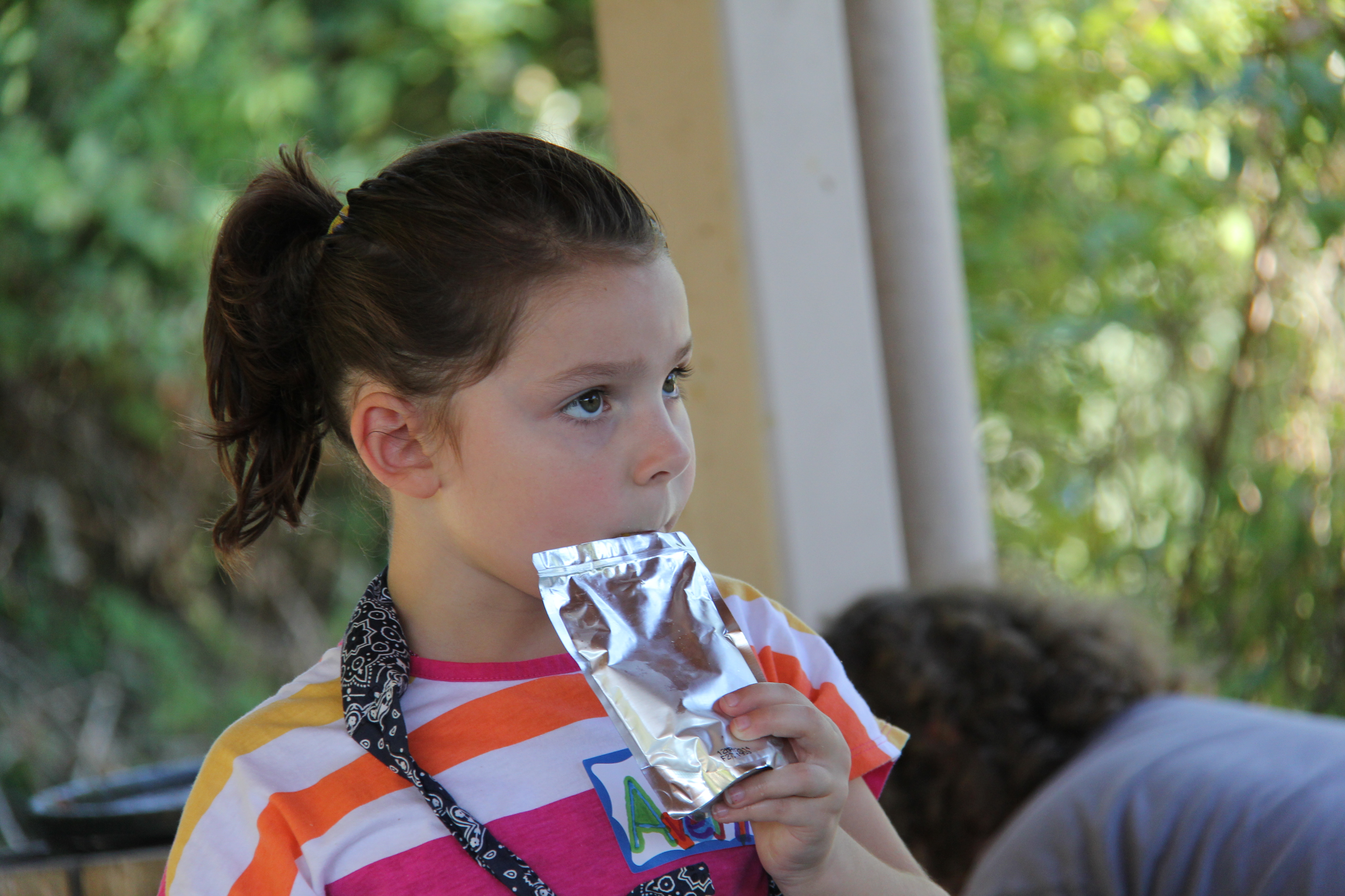 2013 Tate Picnic16.JPG